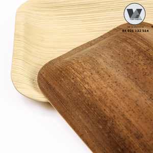 Platos de Hoja de Areca Catechu de 10 Pulgadas Cuadrados, Bandejas Compostables, Vajilla Biodegradable para Catering Ecológico y Suministros para Buffet - Product Image 6