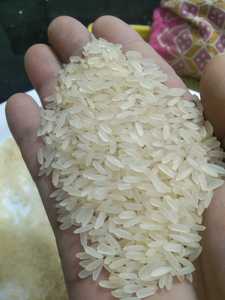 Good for Health IR 64 White Rice 5% Broken Long <b>Grain</b> Non-Basmati Indian Origin Dried Soft Texture Wholesale Export at Low Price - Product Image 4
