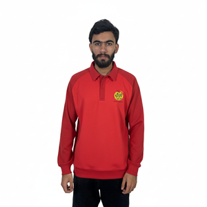 Wholesales <b>Classic</b> Plain Cotton V-neck Long Sleeve T-Shirts Polo Shirts for Men Full Long Sleeve Men polo shirts - Product Image 4