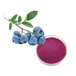 Poudre de fruits de myrtille déshydratée de qualité supérieure, 100% pure et naturelle, pour les boissons, les gâteaux et la crème glacée - Product Image 5