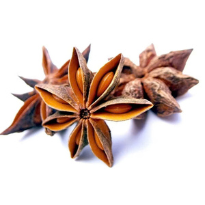 Premium Dried Raw Star Anise Whole Selected Grade Autumn Harvest Vietnam Origin IIGlobal Supply 1% Broken Rate Max High Purity - Product Image 6
