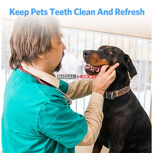 Herramientas Dentales Profesionales, Kit de Limpieza Dental Manual de 5 Piezas de Acero Inoxidable Alemán para Mascotas con Agarre Ergonómico - Product Image 5