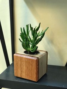 Support de Plantes Carré en Bois Fait Main – Lot Moderne Minimaliste Écologique – Qualité Supérieure pour Anniversaires et Mariages – Vente en Gros Direct Usine - Product Image 2
