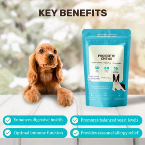 Suplemento Masticable Probiótico OEM/ODM para Perros, 6 Cepas de Lactobacillus y Prebióticos para Aliviar la Diarrea y Mejorar la Piel y el Pelaje - Product Image 3