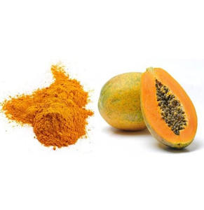 Poudre de fruit de papaye lyophilisée biologique 100% soluble dans l'eau, best-seller - Product Image 3