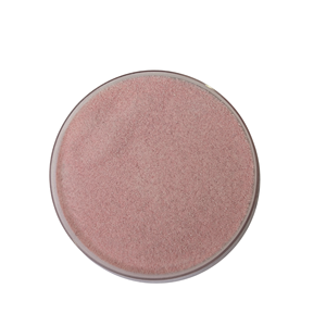 Polvo de Semilla de Jugo de Pomelo Secado por Aspersión, Grado Alimenticio Halal, Envasado al Vacío para Bebidas y Aplicaciones Alimentarias, Bebida Instantánea - Product Image 1