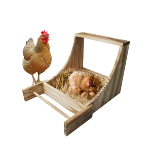 Caja de Nidificación de Madera Duradera de Alta Calidad para Gallinas, Nidos Individuales para Gallinas y Patos de Vietnam - Product Image 3
