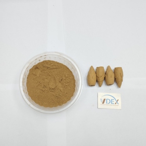 Vietnam Jigat séché Original écorce Joss poudre VDEX fabriqué à partir de plantes Litsea glutinosa pour la production d'agarbatti - Product Image 1