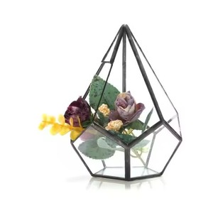 Terrarium en métal élégant, support de plantes en verre, boîte de présentation de jardin d'intérieur stylée, décoration d'intérieur - Product Image 3