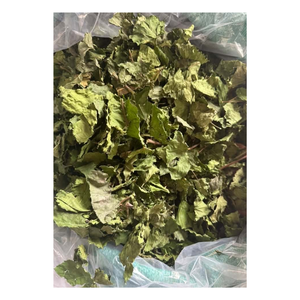 Premium Flavored <b>Tea</b> 100% Mulberry No Additives Long Shelf Life 24 Months Health Benefits Customizable Packaging Vietnam Origin - Product Image 4