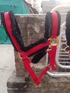 BRAND ZONE - Collar de Cabeza de Nailon Ajustable, Duradero y Cómodo para Montar a Caballo, Tamaño Personalizado, Accesorios Ecuestres - Product Image 1