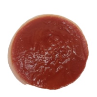 Vente en gros Chine de pâte de tomates fraîches sauce pour pâtes capsicum et ail purée de tomates en fûts personnalisable avec votre marque
