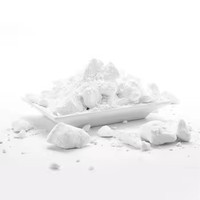 Poudre de magnésie en morceaux pour la gym - Antidérapante, pour l'escalade, l'haltérophilie, les tractions - Sachet scellé fraîchement scellé