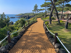 100% Eco Friendly Coconut Fiber Coir <b>Mat</b> <b>Roll</b> From Vietnam Brown Walkway Paving <b>Mat</b> Natural Coir Flooring Landscape Size 1.0*10m - Product Image 1