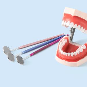 Espejo Bucal Dental Multifunción con Reflector, Mango Desmontable de Acero Inoxidable, 8 Colores, Instrumentos Dentales - Product Image 3