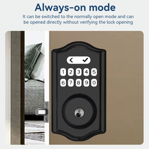 Serrure de porte intelligente à code d'usine, verrou à pêne simple en alliage d'aluminium, serrure intelligente avec clé, verrou de sécurité - Product Image 4