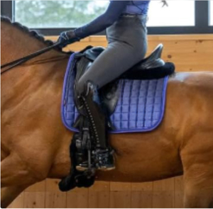 Tapis de selle carré matelassé pour cheval |   Tapis de selle équestre respirant avec |   Équipement d'équitation en gros - Product Image 4