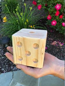 Dés en bois à marque privée, dés polyédriques en bois personnalisés pour Dungeons and Dragons, équipement de jeu professionnel, vente en gros - Product Image 4