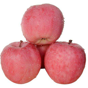 Pommes rouges délicieuses en gros, origine en vrac : Pommes rouges délicieuses, Gala, Granny, Starking - Product Image 3