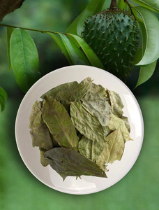 Premium Natural Soft Dried Soursop Vietnam No Sugar Added Bulk Wholesale Export Ready Healthy Tropical Fruit Snack <b>Bar</b> - Product Image 6