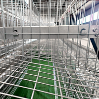 Cage à poulets de type 4 à 4 niveaux pour 120/128/160 oiseaux, pour élevage avicole