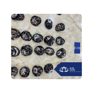 [MEJOR VENDIDO] |   Conchas de Limpet para Decoraciones de Estilo Costero, Suministros para Manualidades y Uso Comercial, Vietnam - Product Image 1