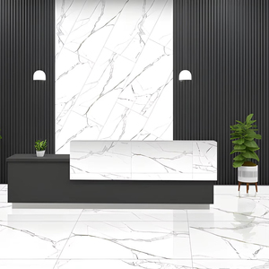 Alfa Silver Modern <b>Matte</b> Porcelain <b>Floor</b> and Wall Tiles Acid Resistant Anti Slip Interior Tiles for Hotel Villa Apartment - Product Image 1