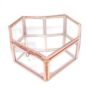 Caja de Joyería Rectangular de Vidrio Transparente con Marco de Acero Resistente y Recubrimiento de Cobre, 8X4X2 Pulgadas, para Joyería y Salón de Belleza - Product Image 1
