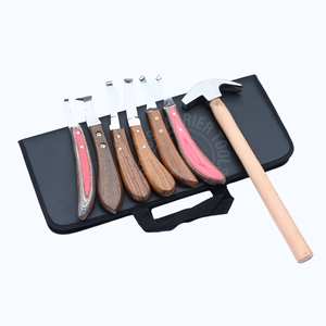 Kit de Herramientas de Herrador de Acero Inoxidable, Gran Cuchillo Clásico para Pezuñas con Lazo Desmontable, Cuchilla Estrecha de Doble Cara para Recorte, Cuchillo Tipo D y Martillo de Empuje - Product Image 1