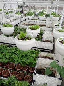 Stainless Steel Indoor/Outdoor <b>Hanging</b> Planter <b>Basket</b> with <b>Chain</b> Flower Pot Holder for Plants - Product Image 3