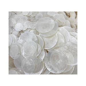 Wholesale Capiz Shell Discs Natural <b>Clear</b> Seashell Material for Decorative Accessories and Home Furnishing - Product Image 3