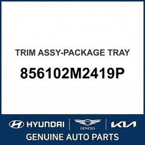 Nouveaux Moulures et Garnitures de Carrosserie 856102M2419P - Product Image 1