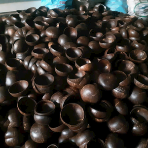 Fabricante de Tazones de Coco, Tazón de Cáscara de Coco Natural Hecho a Mano, Proveedor Ecológico, Tazón de Cocina Sostenible para Servir, al por Mayor - Product Image 5