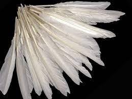 Plumes de canard teintées de qualité supérieure pour l'artisanat, les costumes, la chapellerie et les applications décoratives - Product Image 5