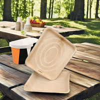 Caja de bagazo desechable ecológica con tapa
