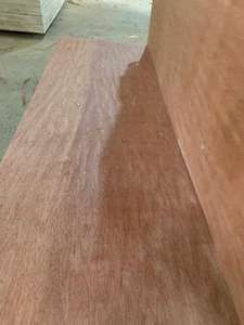 Contreplaqué commercial de conception moderne gentille avec le noyau de bois dur Bintangor/Okume/surface de pin - Product Image 2