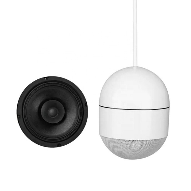 Black or White Pendant Ceiling Speaker with Hook Mount for High Ceilings