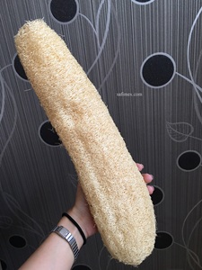 High Quality Organic Grown Natural Loofah Sponge 25-30cm for Bath and Kitchen Use Bulk Export from Vietnam Farm Good Price - Product Image 6