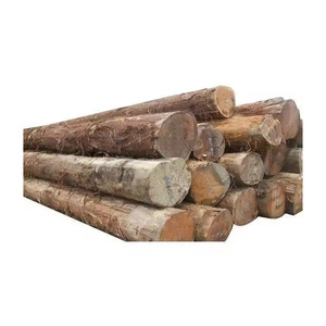 Bûches de teck africain de qualité supérieure disponibles en gros pour les fabricants de meubles et les exportateurs - Product Image 3