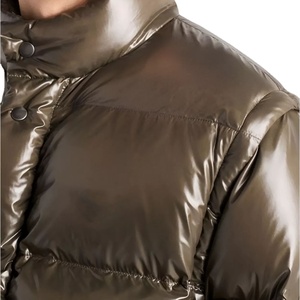 Veste matelassée imperméable unisexe pour l'hiver, style streetwear, brun foncé, rembourrage brillant, fermeture éclair longue, logo décontracté, 2026 - Product Image 2