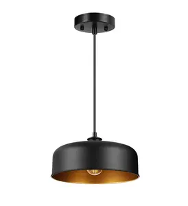 JT-PL-B12 Hot Sale Modern 1-Light E26/E27 Matt Black Gold Interior Metal Chandelier & Pendant Light Ceiling Light