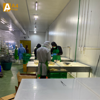 Verse Thaise Durian Export Premium Kwaliteit Groothandel Zuid-Korea VS Thailand Wereldwijd Monthong Romige 500g 14 Dagen Houdbaarheid