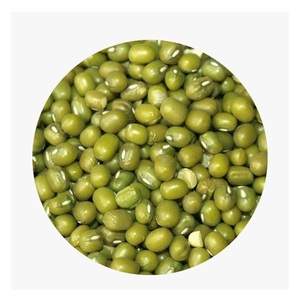 Frijol Mungo (Vigna Radiata) de Calidad de Exportación para Brotes, Sopas y Recetas Saludables, Disponible a Precio de Exportación - Product Image 5