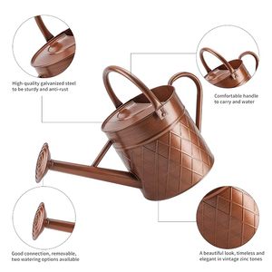 Arrosoir en métal finition cuivre vintage pour plantes d'intérieur et d'extérieur, pot d'arrosage décoratif de jardin avec long bec - Product Image 3