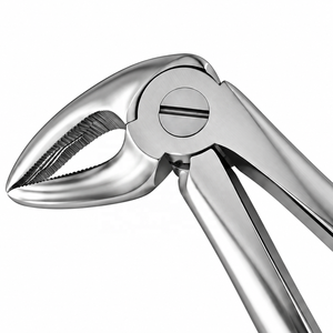 33 Pinces d'extraction dentaire à motif anglais en acier inoxydable, instrument de chirurgie buccale certifié CE et ISO - Product Image 3