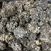 Poudre d'extrait de champignon Maitake 20% Bêta-glucane pour infusion