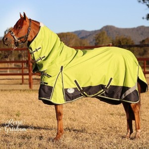 Couverture d'hiver pour cheval en toile imperméable, design personnalisé, confortable pour l'équitation - Product Image 6