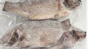Poisson Rouge Congelé Entier Premium – Haute Qualité, Prix Compétitif, Valeur Nutritionnelle Élevée, 100% Naturel Sous Vide - Product Image 6