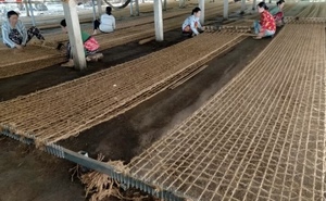 Filet en fibre de coco naturelle en gros pour le contrôle de l'érosion des sols, l'aménagement paysager, le jardinage et la protection des pentes – Taille OEM - Product Image 4