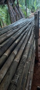 Heavy Duty Bamboo <b>Pole</b> Strong and Durable <b>for</b> Outdoor Projects - Product Image 4